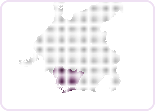 稲沢市はもちろん、一宮市、弥富市、津島市、あま市、清須市など、幅広く対応しています。