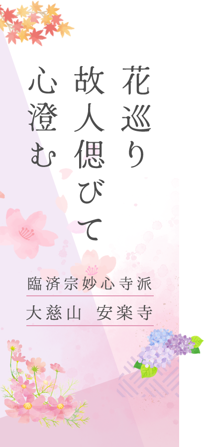 花巡り 故人偲びて 心澄む 臨済宗妙心寺派 大慈山 安楽寺